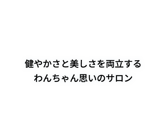 健やかさと美しさを両立する わんちゃん思いのサロン