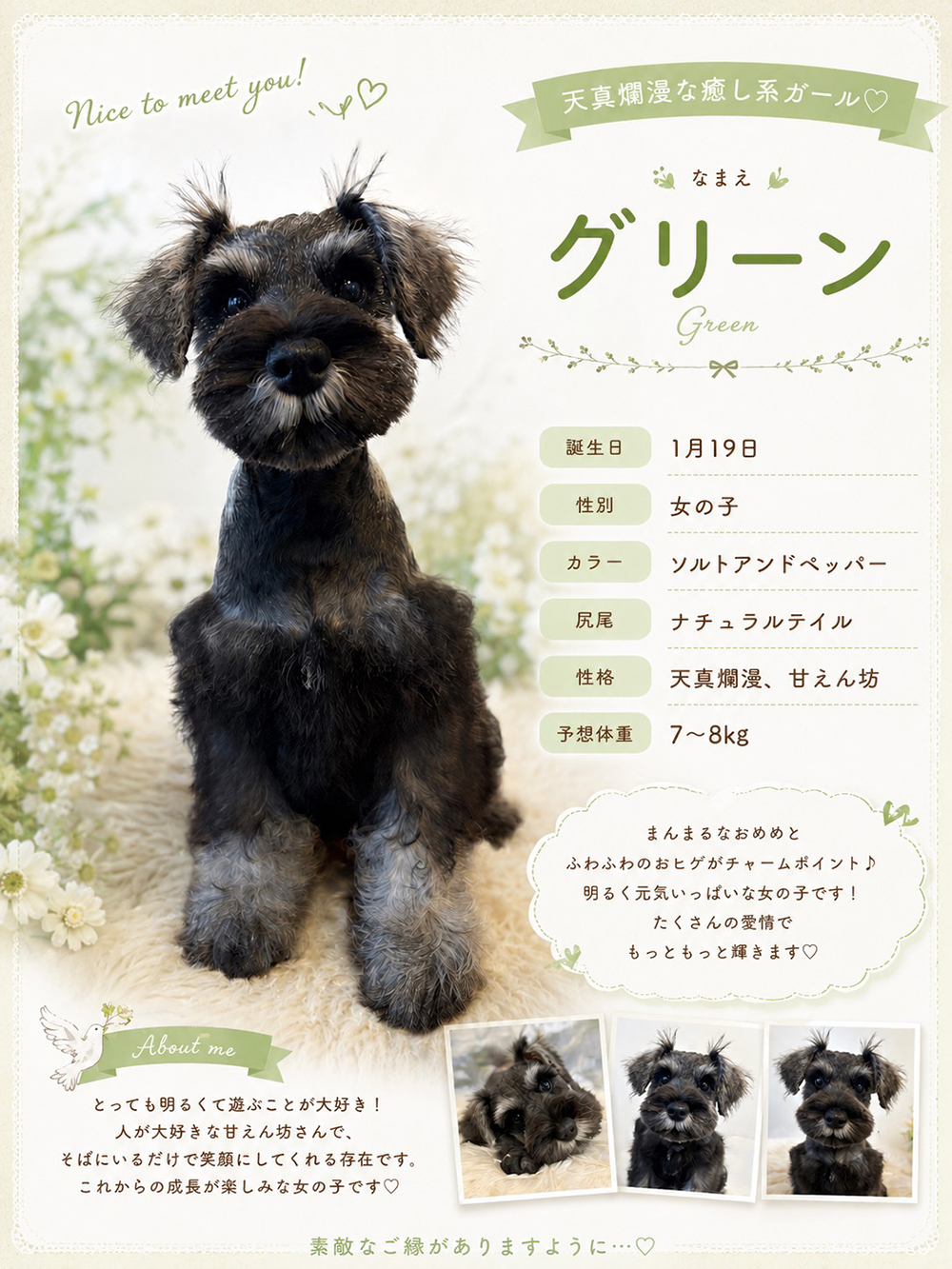 PUPPY