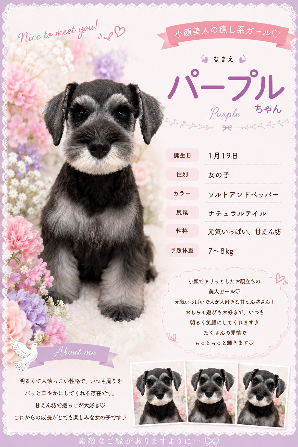 PUPPY