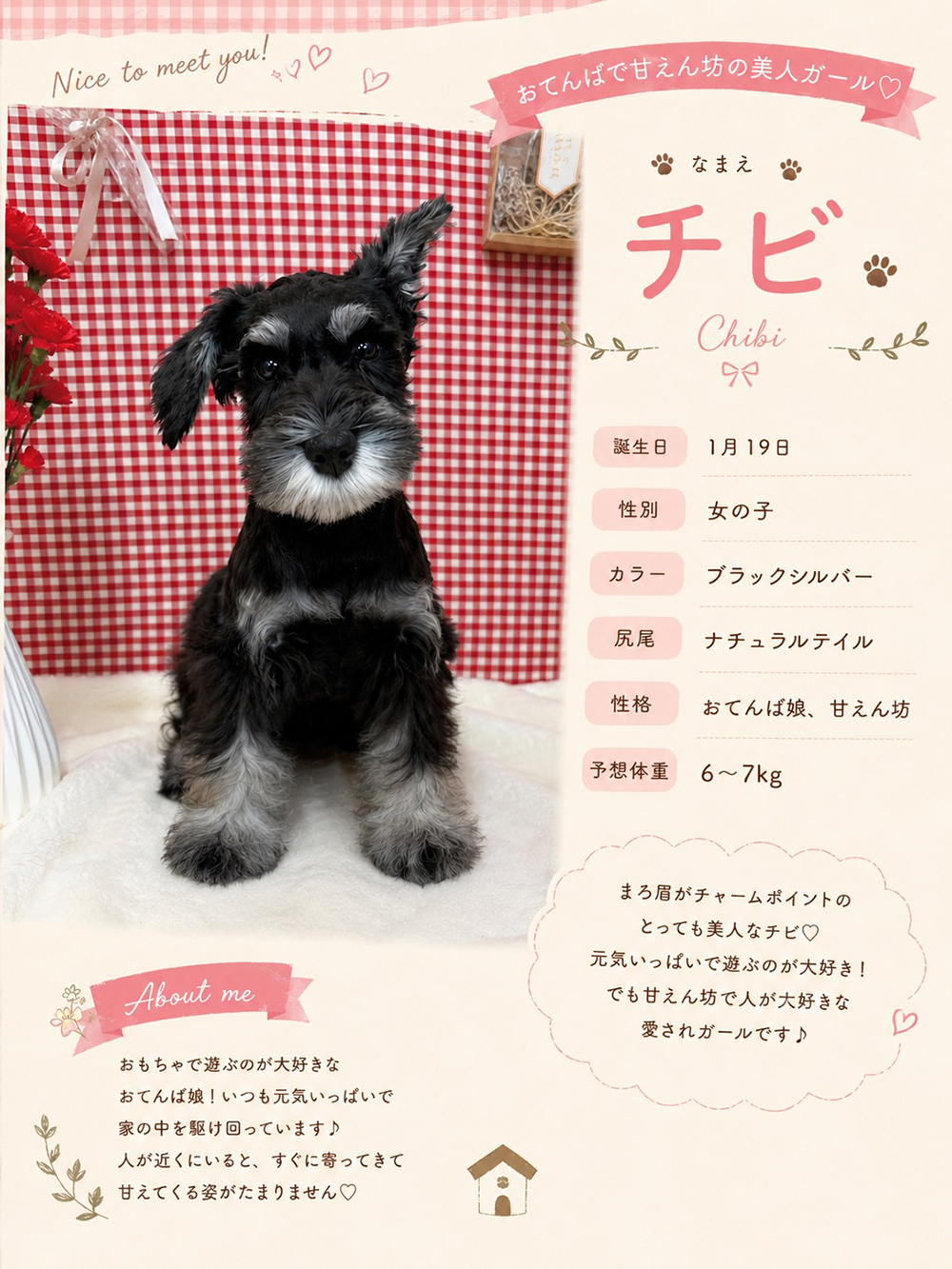 PUPPY