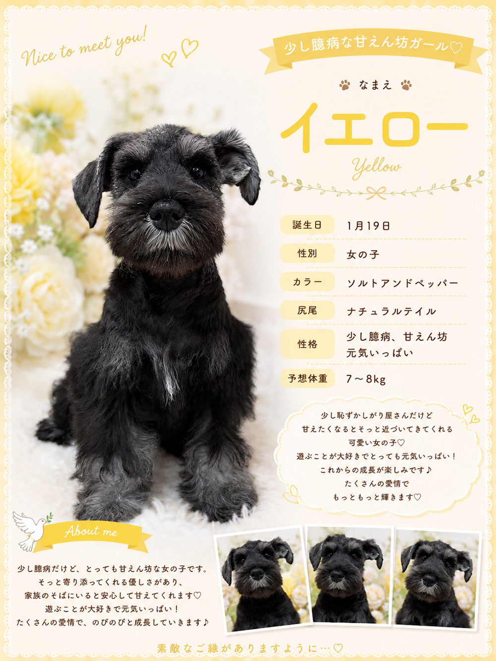 PUPPY